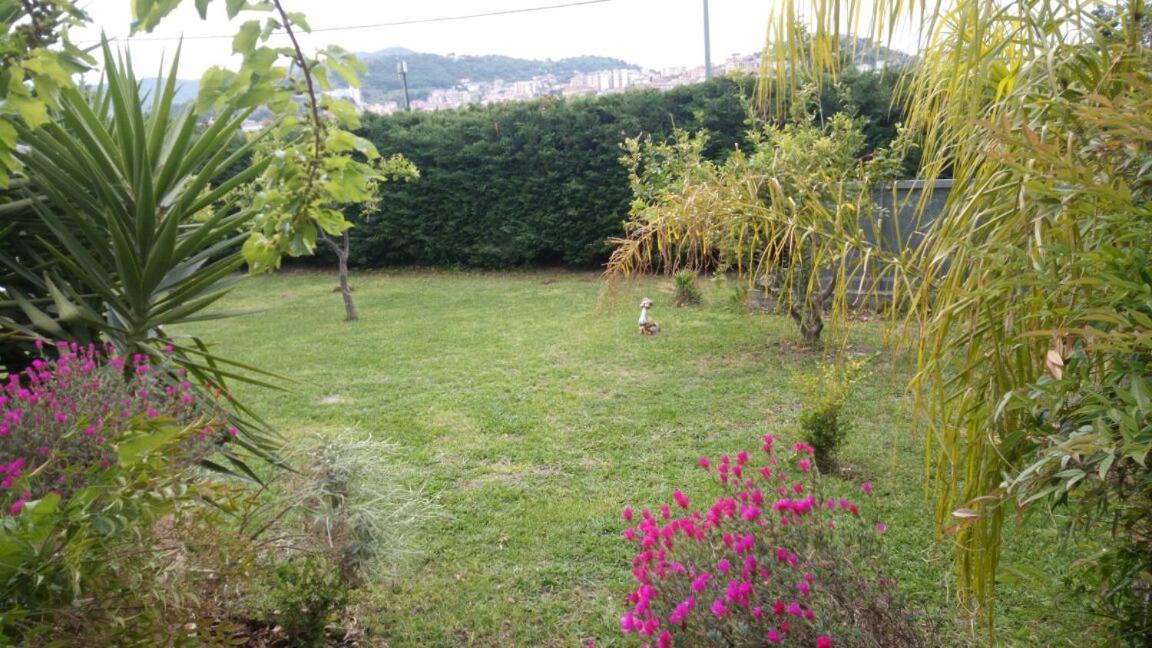 Costa Blu Bed and Breakfast Agropoli Buitenkant foto